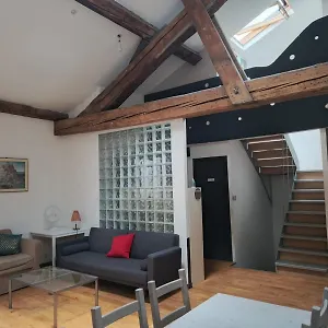  Alloggio in famiglia Loft Viarhona, Grand Loft En Centre-ville